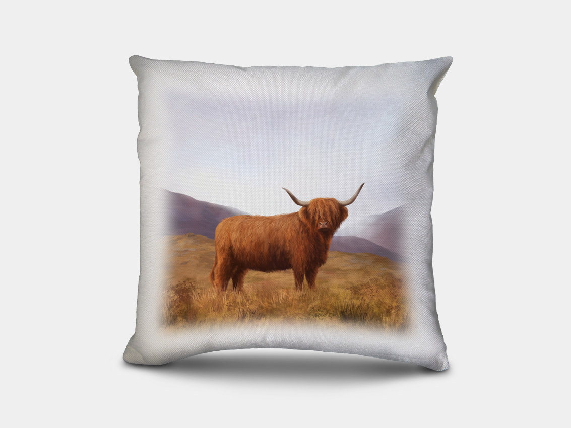 Cheap photo cushion clearance